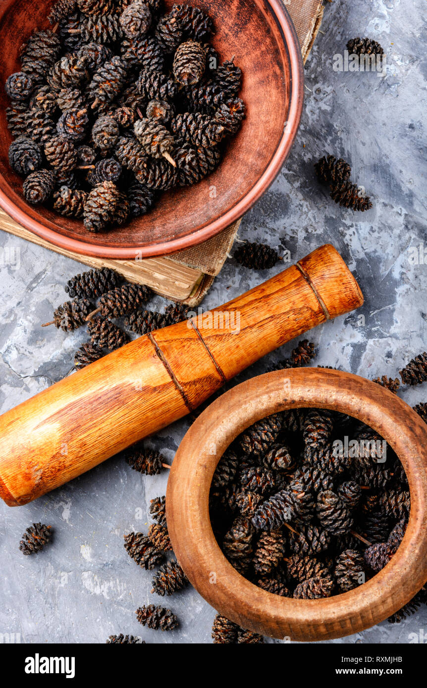 Healing cones of alder in a mortar.Alder seedlings.Herbal medicine Stock Photo