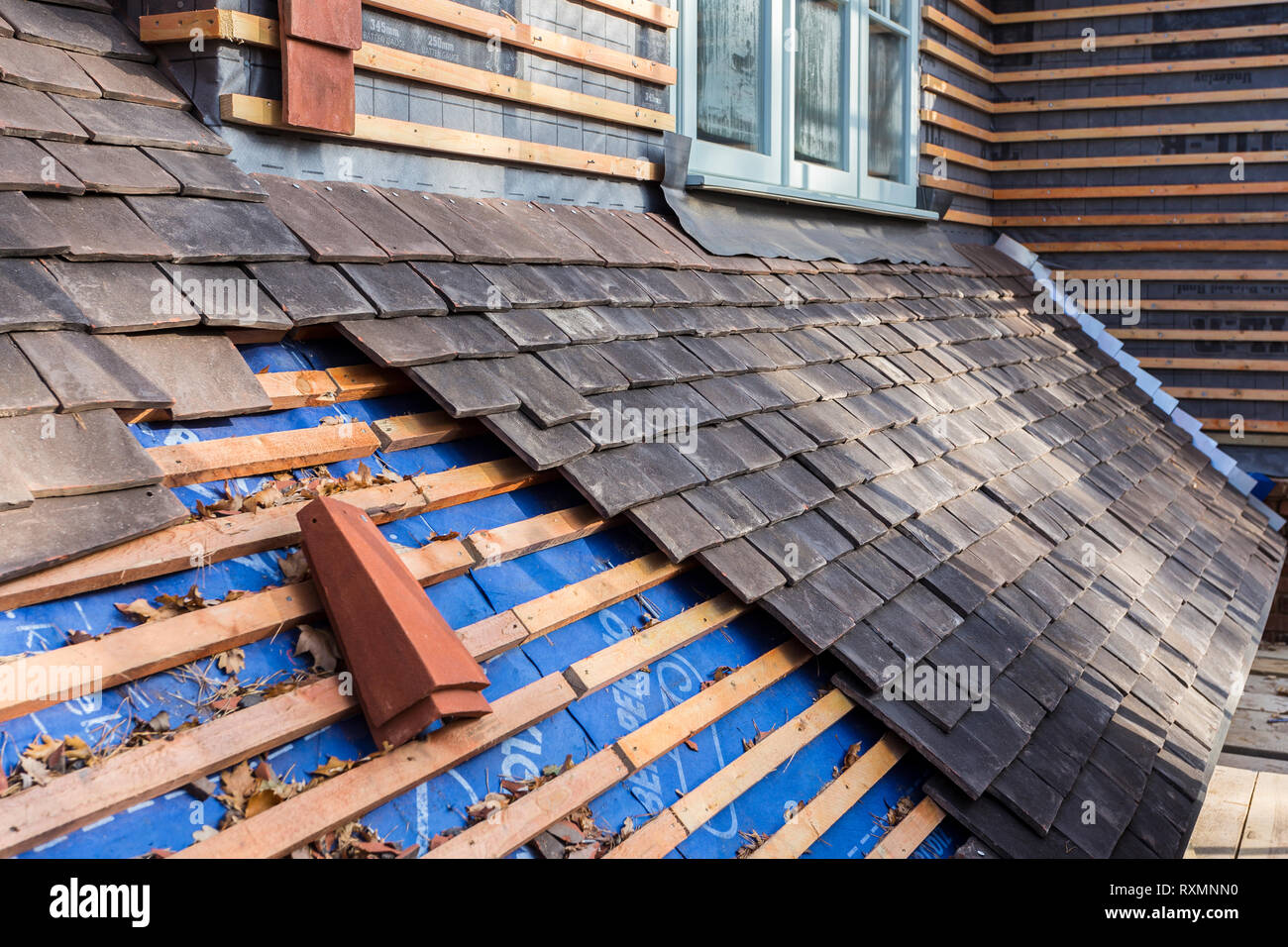Roofing a new build House Construction Stock Photo