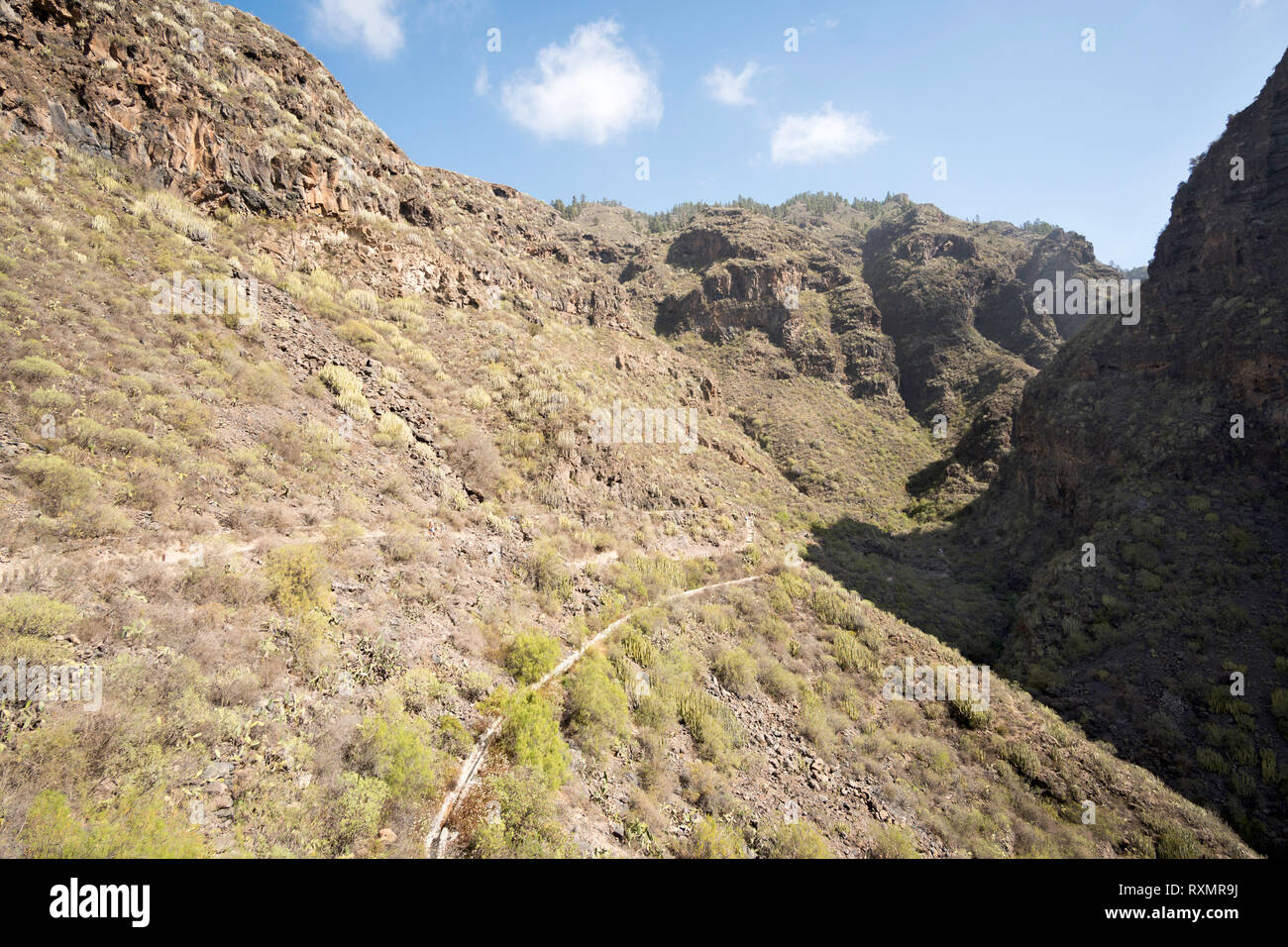 Groups of walkers follow the footpath along the gorge called the Barranco del Infierno, Adeje, Tenerife. Stock Photo