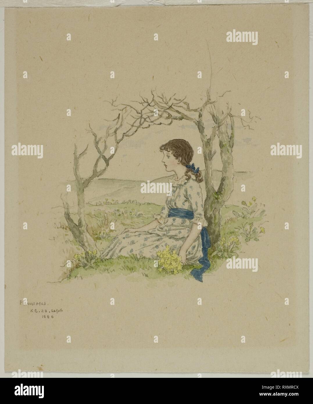 Seated Girl with Primroses. Kate Greenaway; English, 1846-1901. Date: 1886. Dimensions: 110 × 91 mm. Graphite and watercolor on cream wove paper. Origin: England. Museum: The Chicago Art Institute. Stock Photo