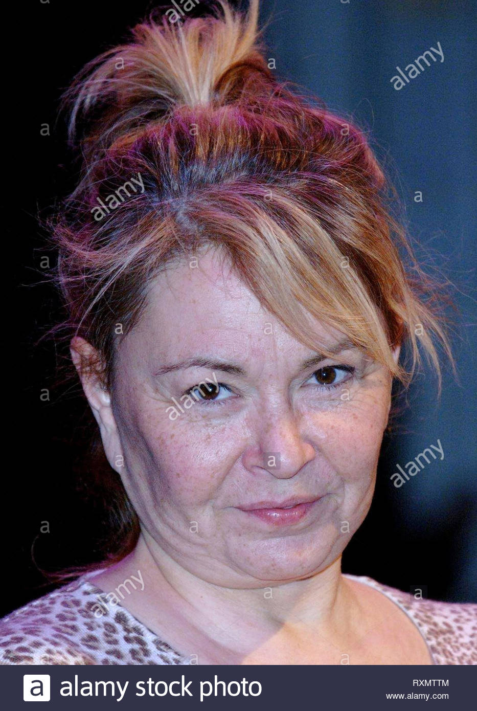 Roseanne Barr High Resolution Stock Photography and Images - Alamy