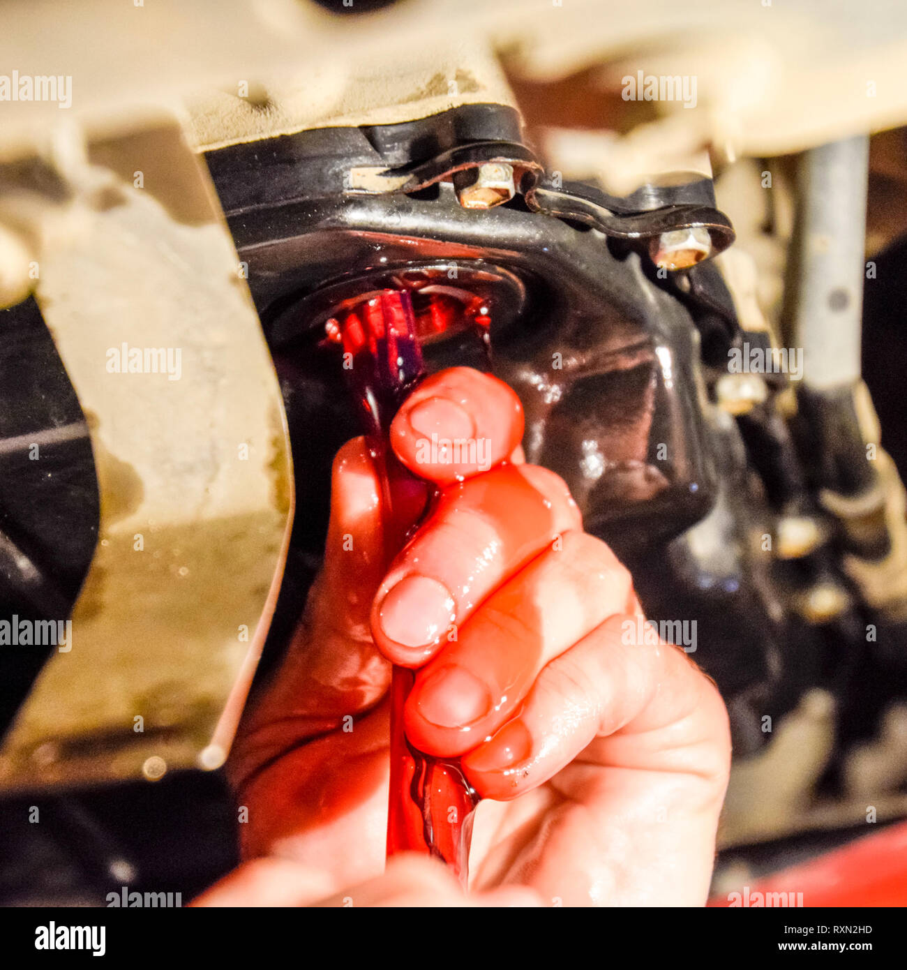 Oil change in automatic transmission. Filling the oil through the hose. Car maintenance station. Red gear oil. The hands of the car mechanic in oil. Stock Photo