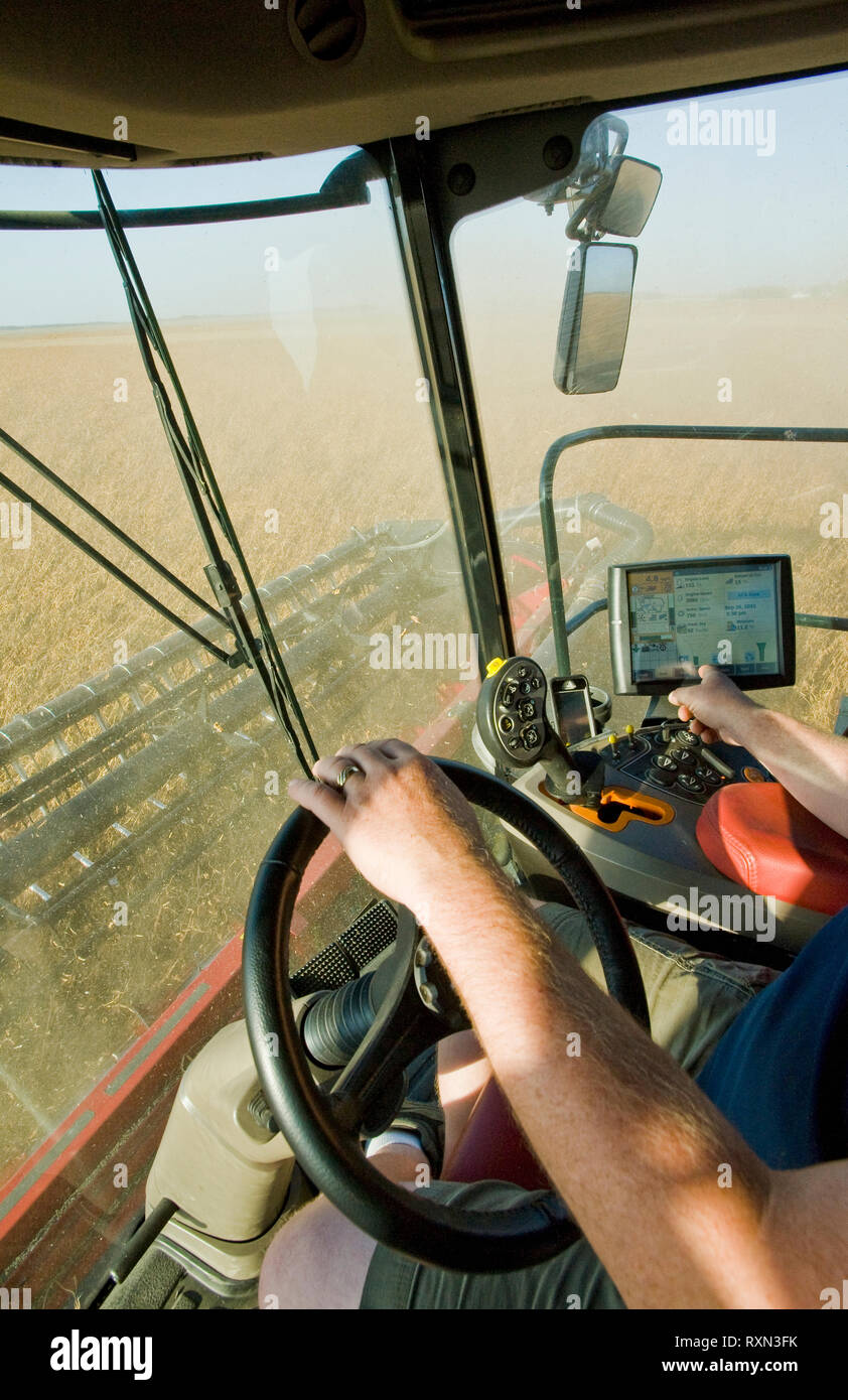 a farmer checks his combine monitor to evaluate crop data during the soybean harvest near Dugald, Manitoba, Canada Stock Photo