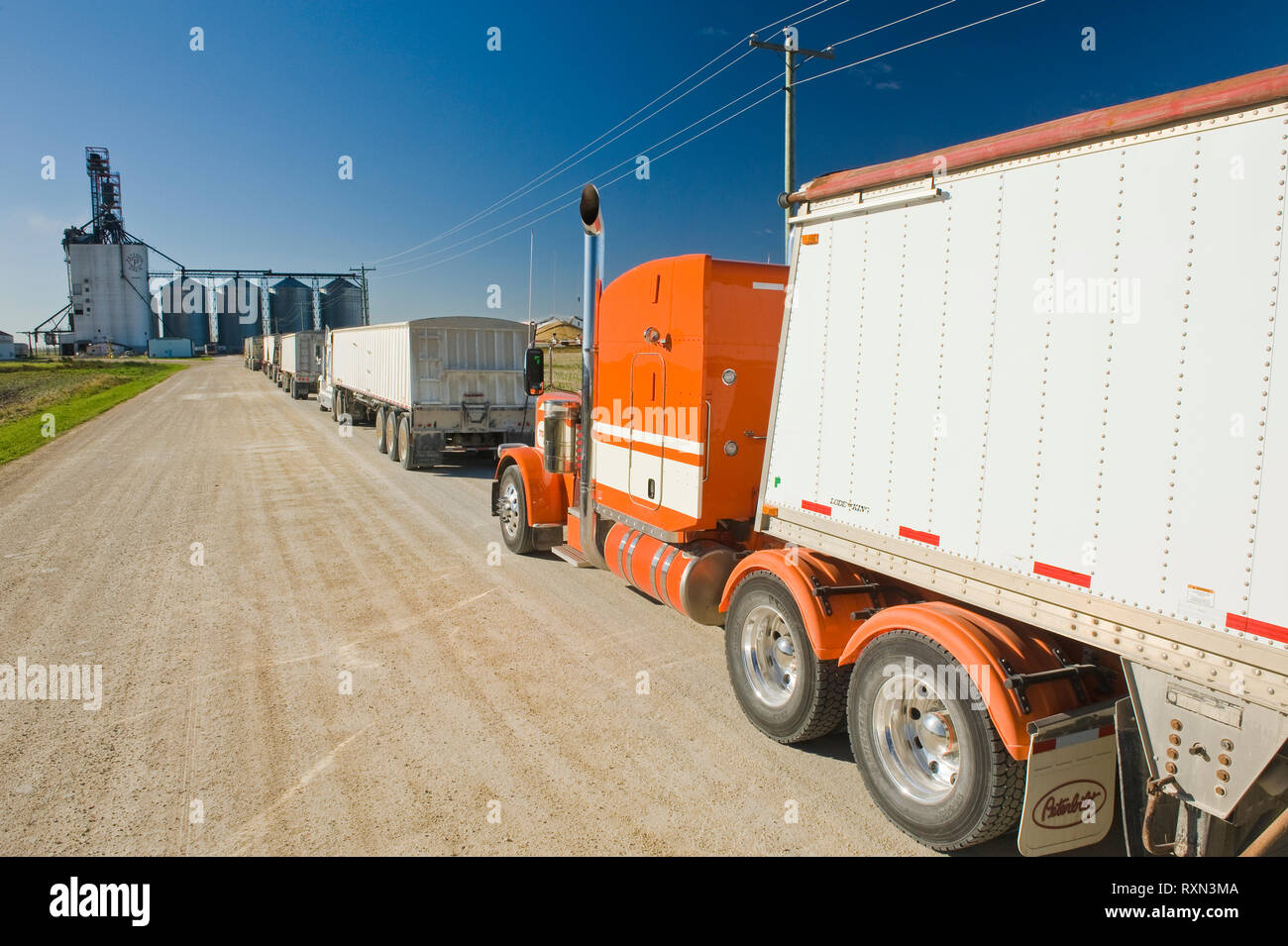 trucks hauling soybeans to an inland terminal near Winnipeg, Manitoba, Canada Stock Photo