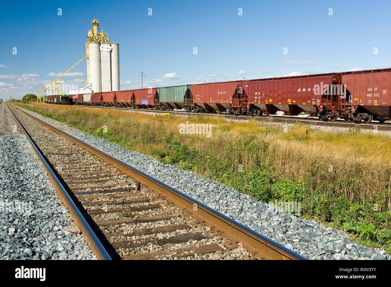 rail hopper cars wait on a siding next to an inland grain terminal, Rosser, Manitoba, Canada Stock Photo