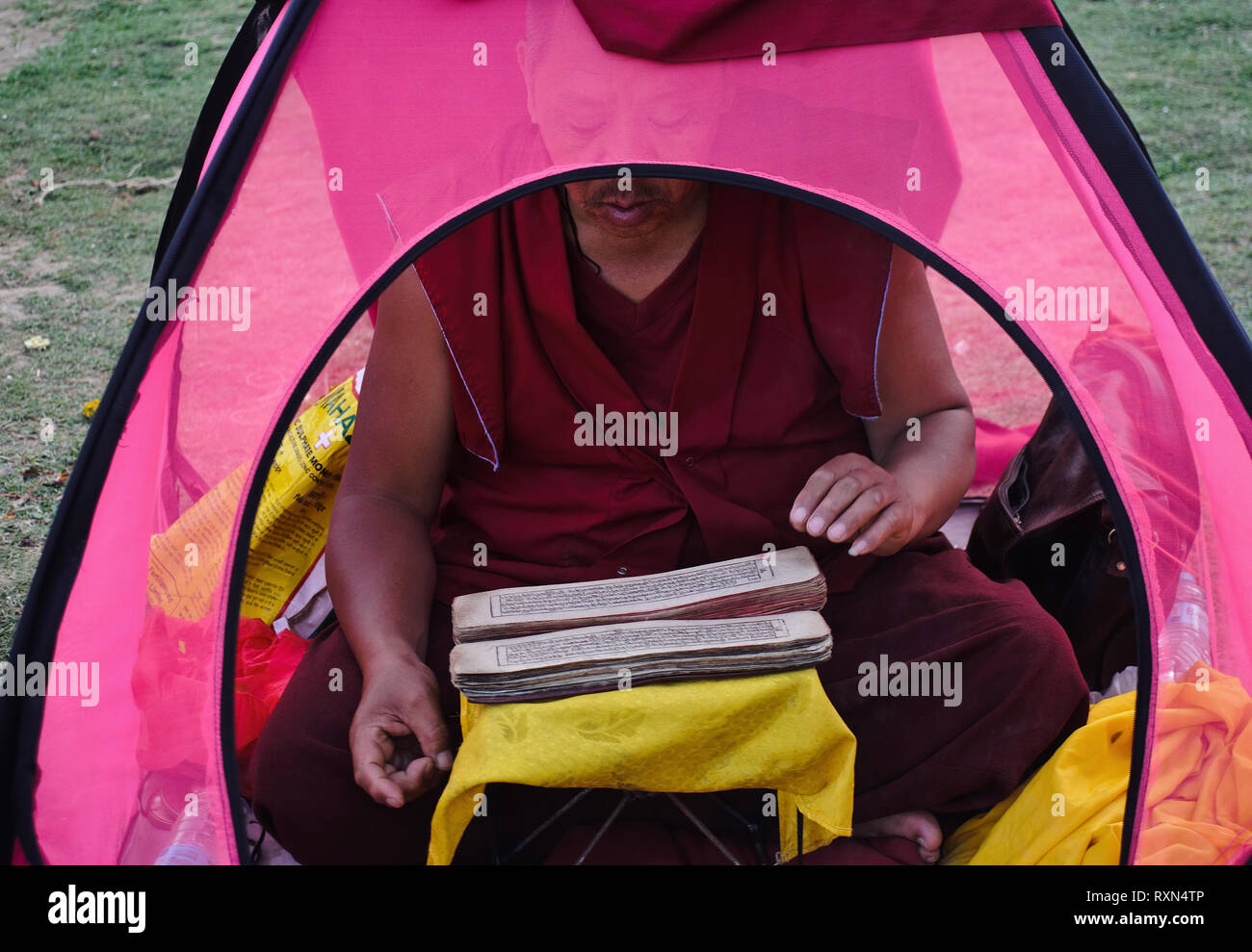 Tibetan monk reading buddhist holy scriptures in a pink ultra light tent ( India) Stock Photo