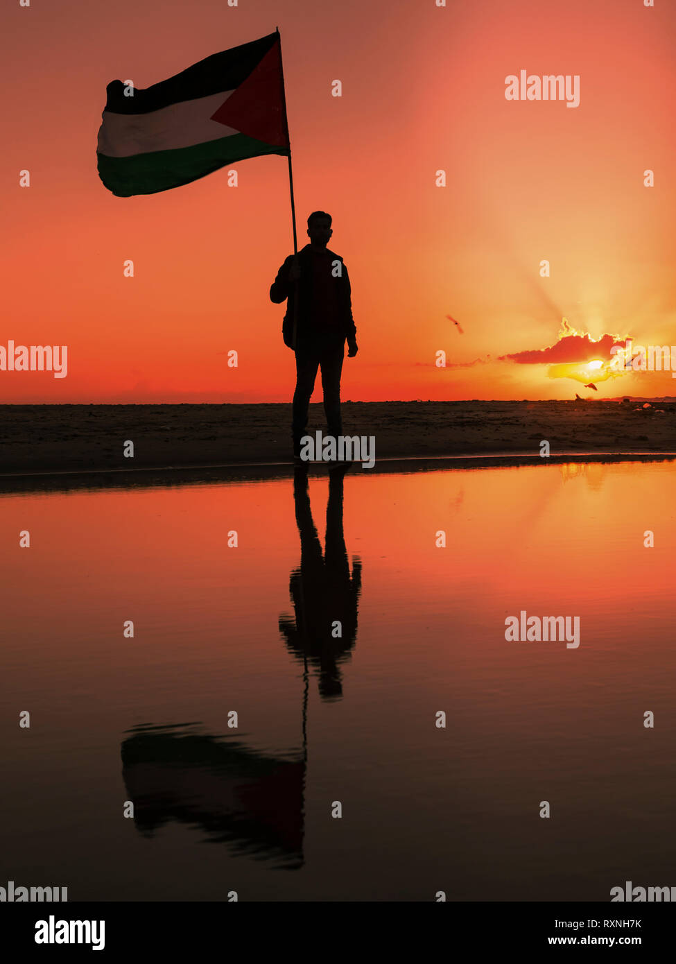 Palestine flag with a beautiful sky on Craiyon