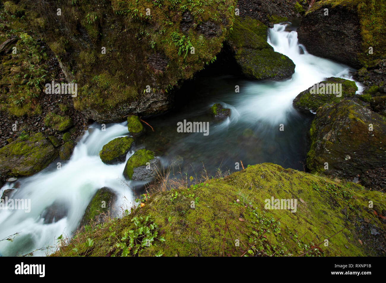 wahclella-falls-hi-res-stock-photography-and-images-alamy