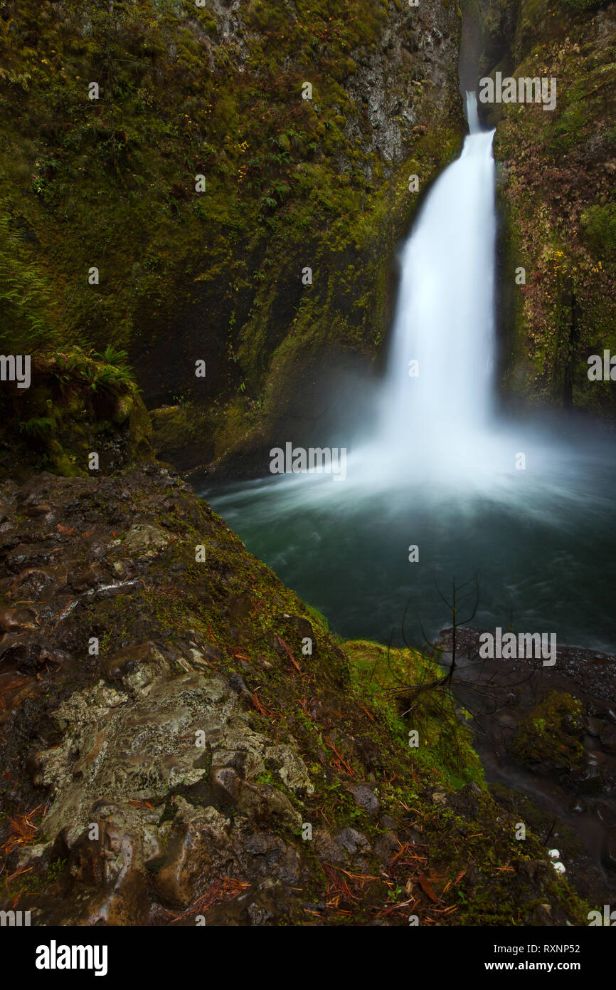 wahclella-falls-hi-res-stock-photography-and-images-alamy