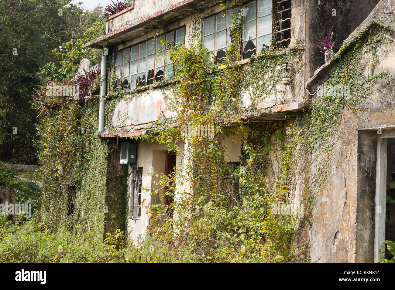 Yim Tin Tsai, an island near Sai Kung, Hong Kong which is home to an abandoned fishing village that now stands decaying and overgrown. Stock Photo