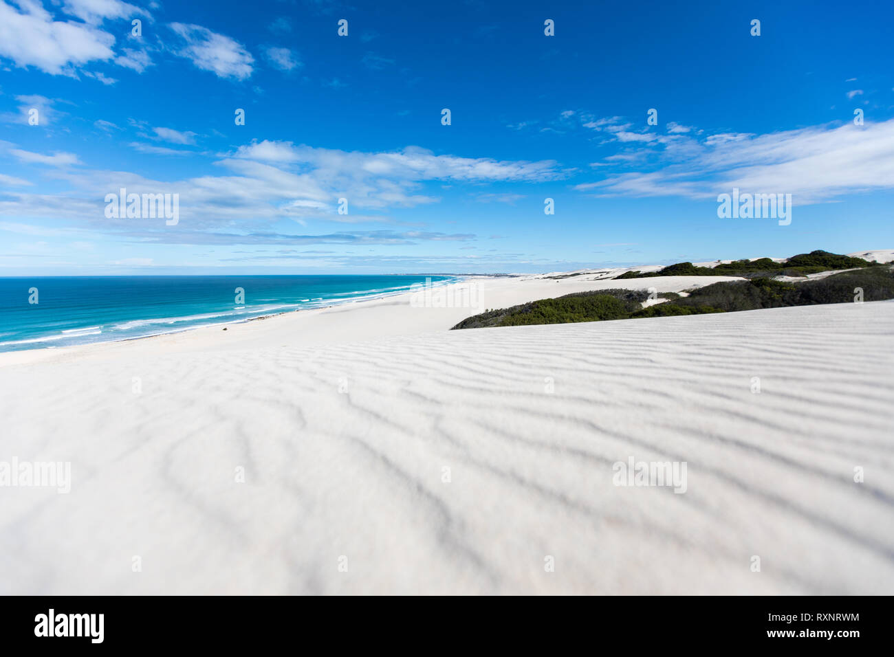 White Sand dunes and blue Ocean at De Hoop National Park, South Africa Stock Photo