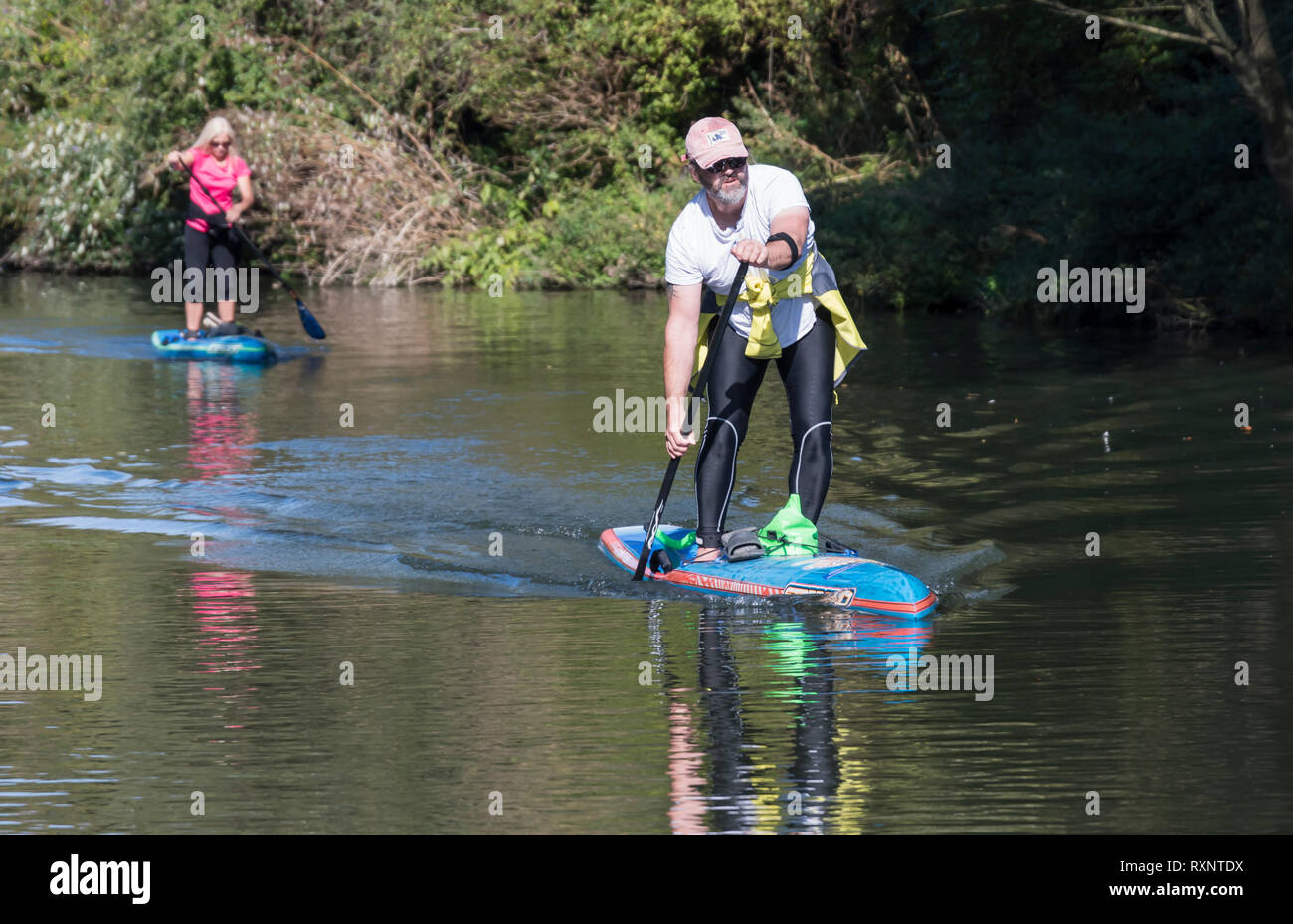 Man and woman on paddle boards on Chichester Canal, West Sussex, UK