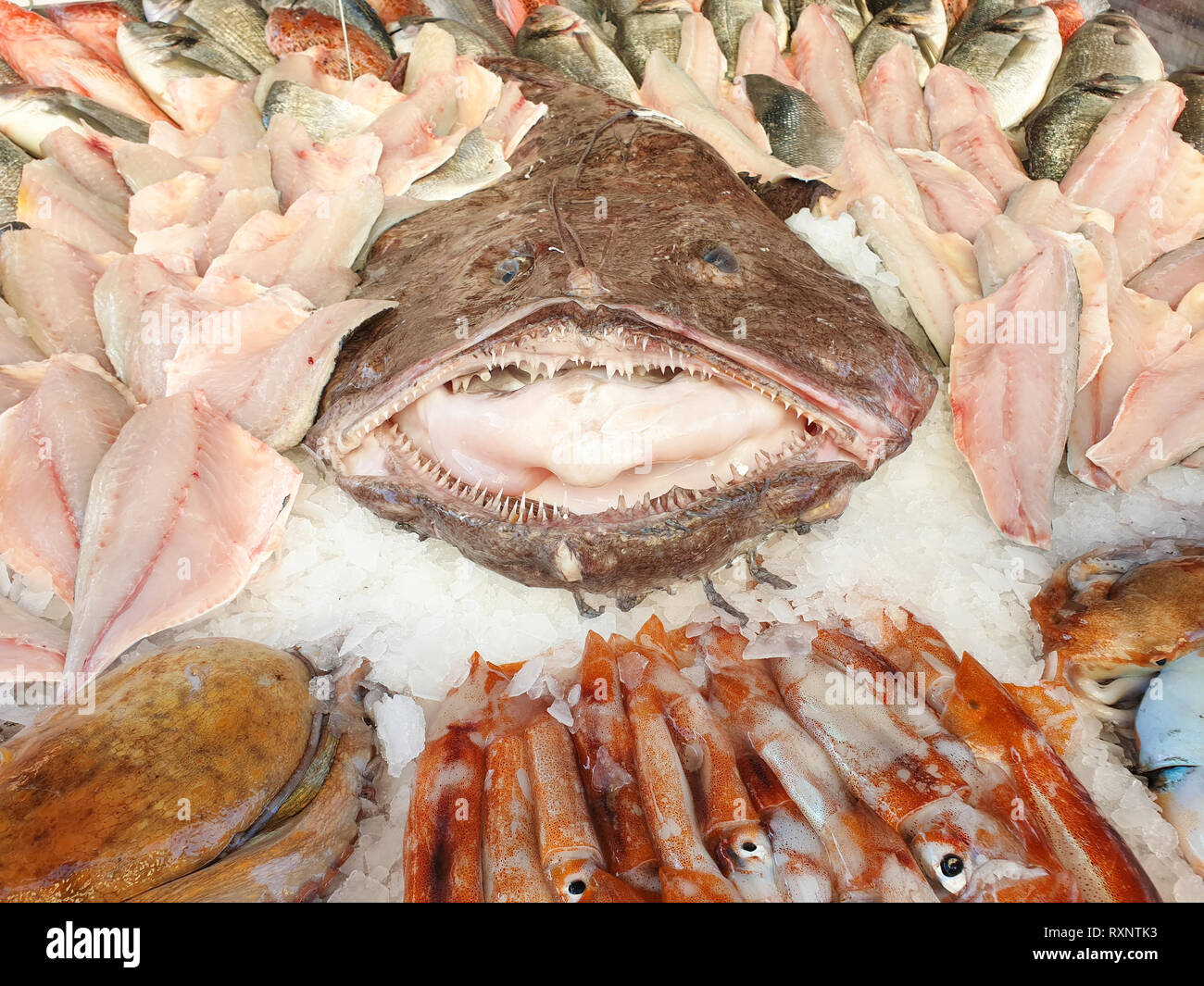 Fresh fish at the fish market stall, in the center a large monkfish. Stock Photo