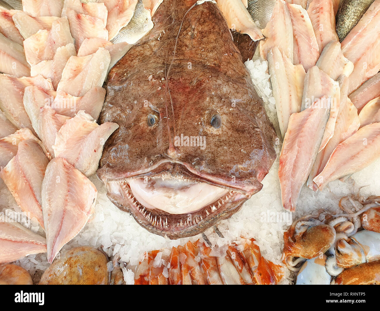 Fresh fish at the fish market stall, in the center a large monkfish Stock Photo