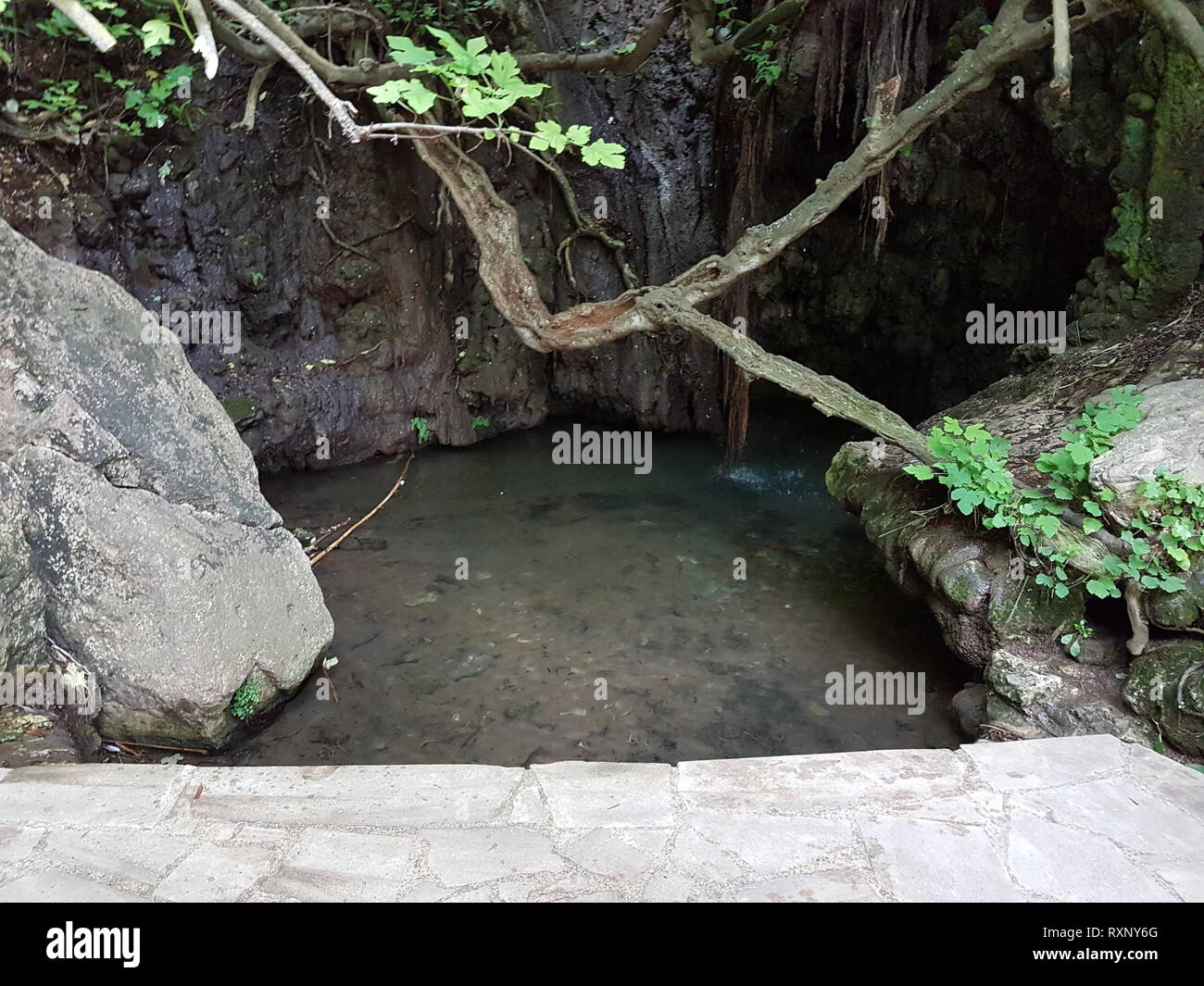 Baths of Aphrodite, Cyprus Stock Photo Alamy