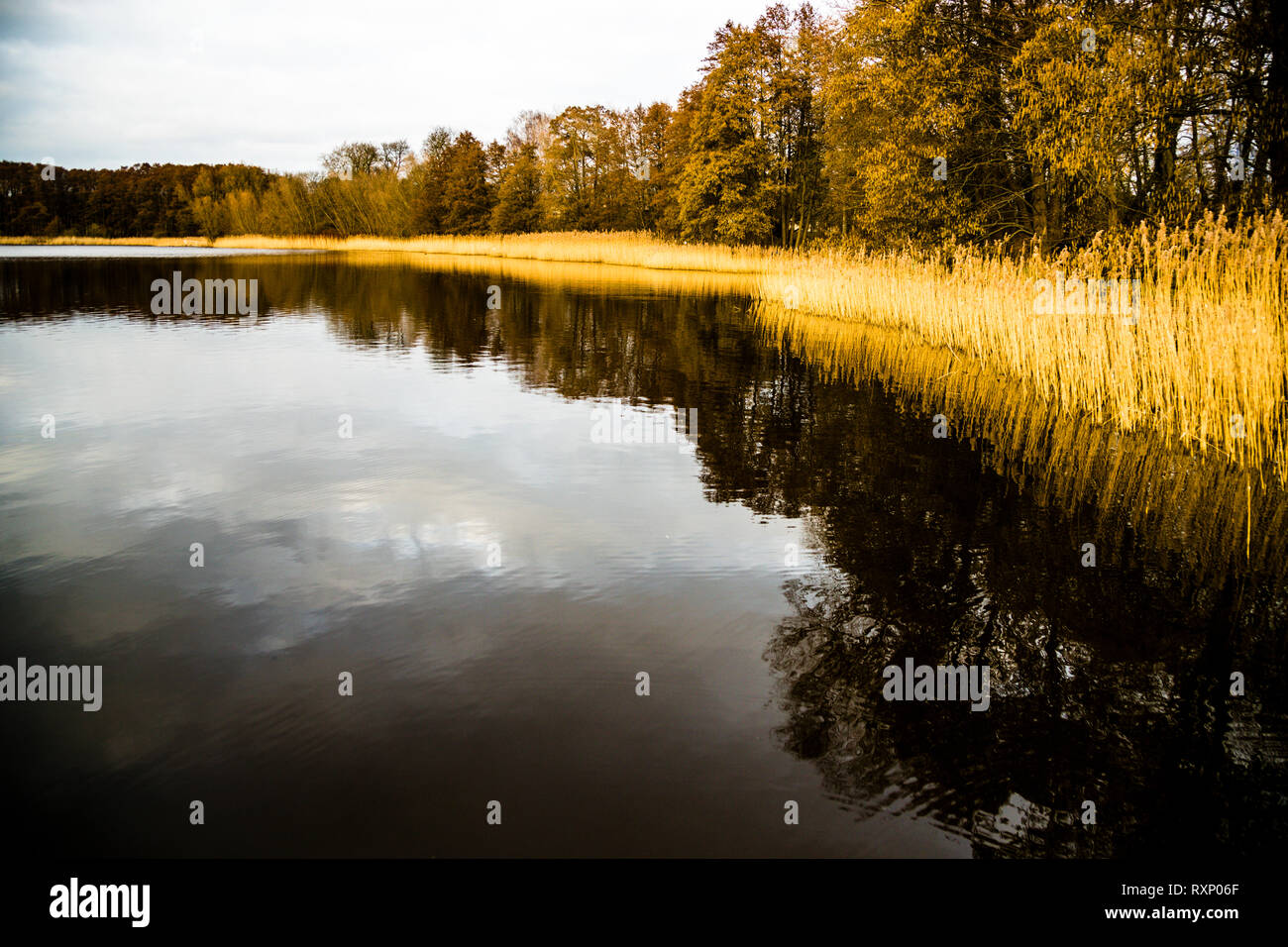 Lake Fincken will soon be surrounded only by ecologically treated fields according to Dierck Engel's plans. Landscape with lake near Fincken, Germany Stock Photo