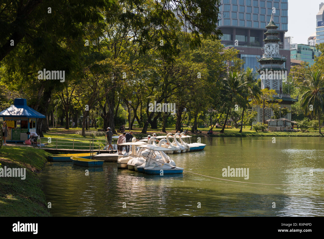 Swan pedal boats rental in Lumpini park, Bangkok, Thailand Stock Photo