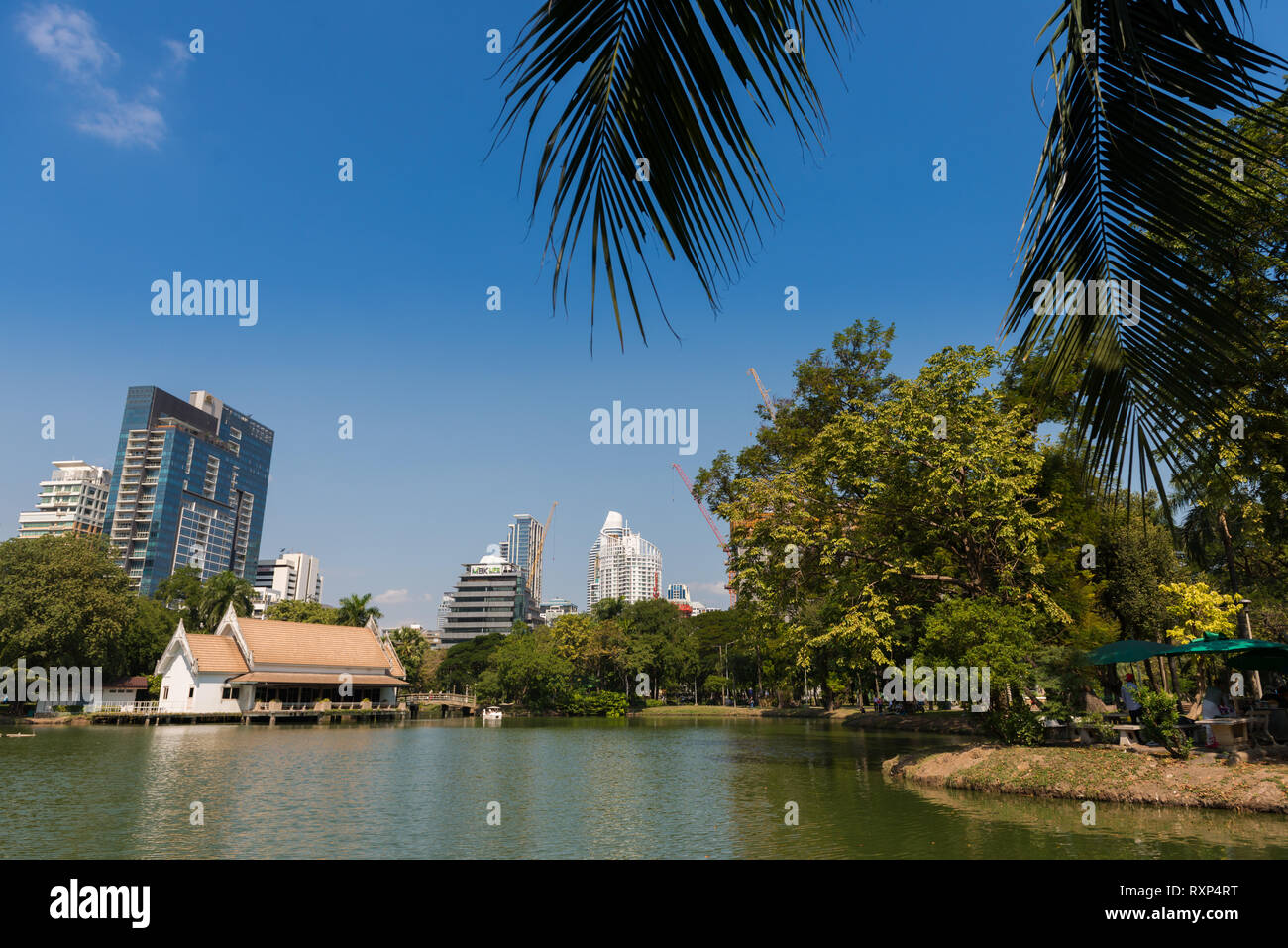 Lake in Lumpini park, Bangkok, Thailand Stock Photo