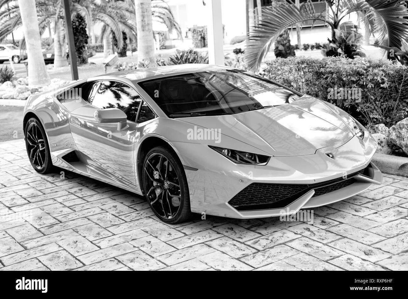 Lamborghini Black And White Stock Photos Images Alamy