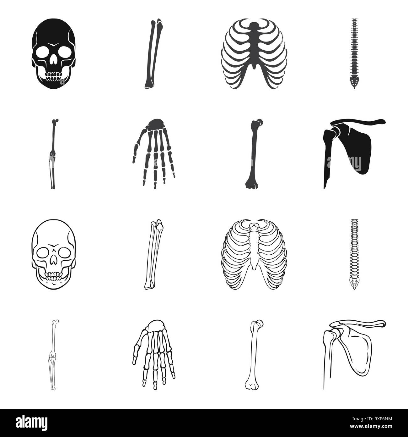 skull,femur,rib,spine,knee,wrist,death,cage,chiropractic,joint,hand ...