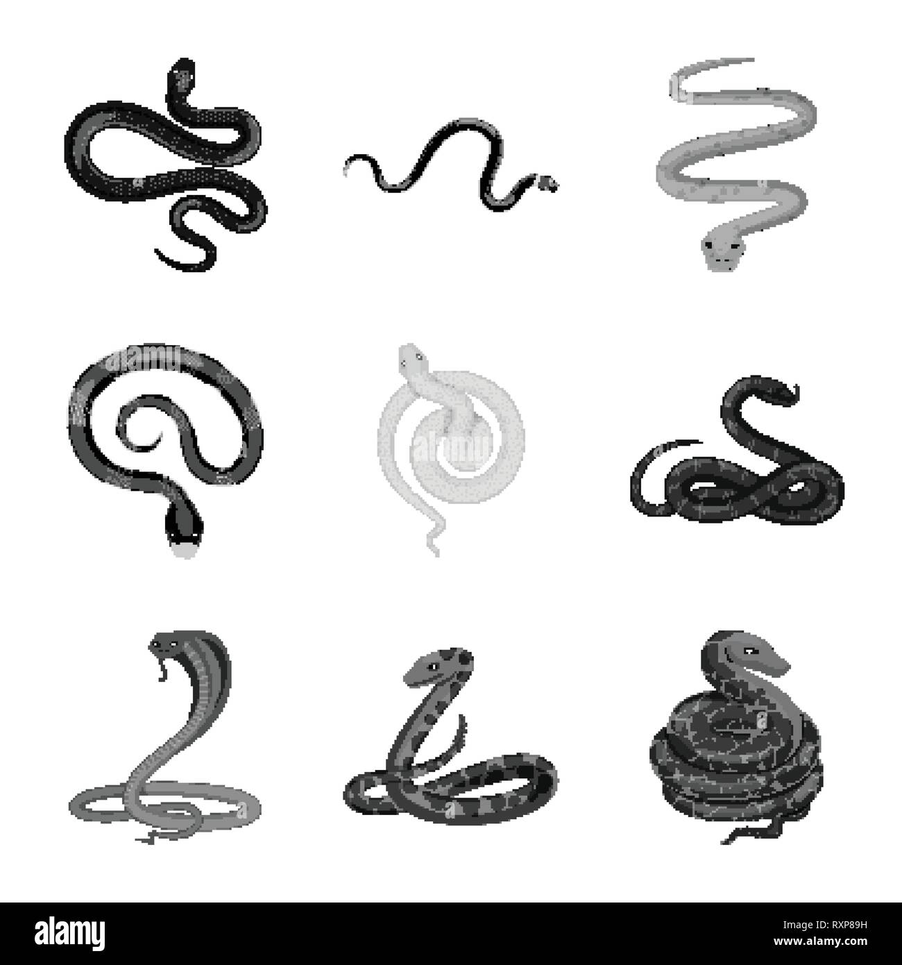 Amphibian Animal Snake Viper Anaconda Cobra Tail Coral White Python Spiral Threat Tropics Tropical Forest Throw Pharmacy Fear Cyprus Pink Serpent Royal Language Red Black Tattoo Blue Leather Harm Bite Skin Reptile Mammal Danger Nature Medicine Poison