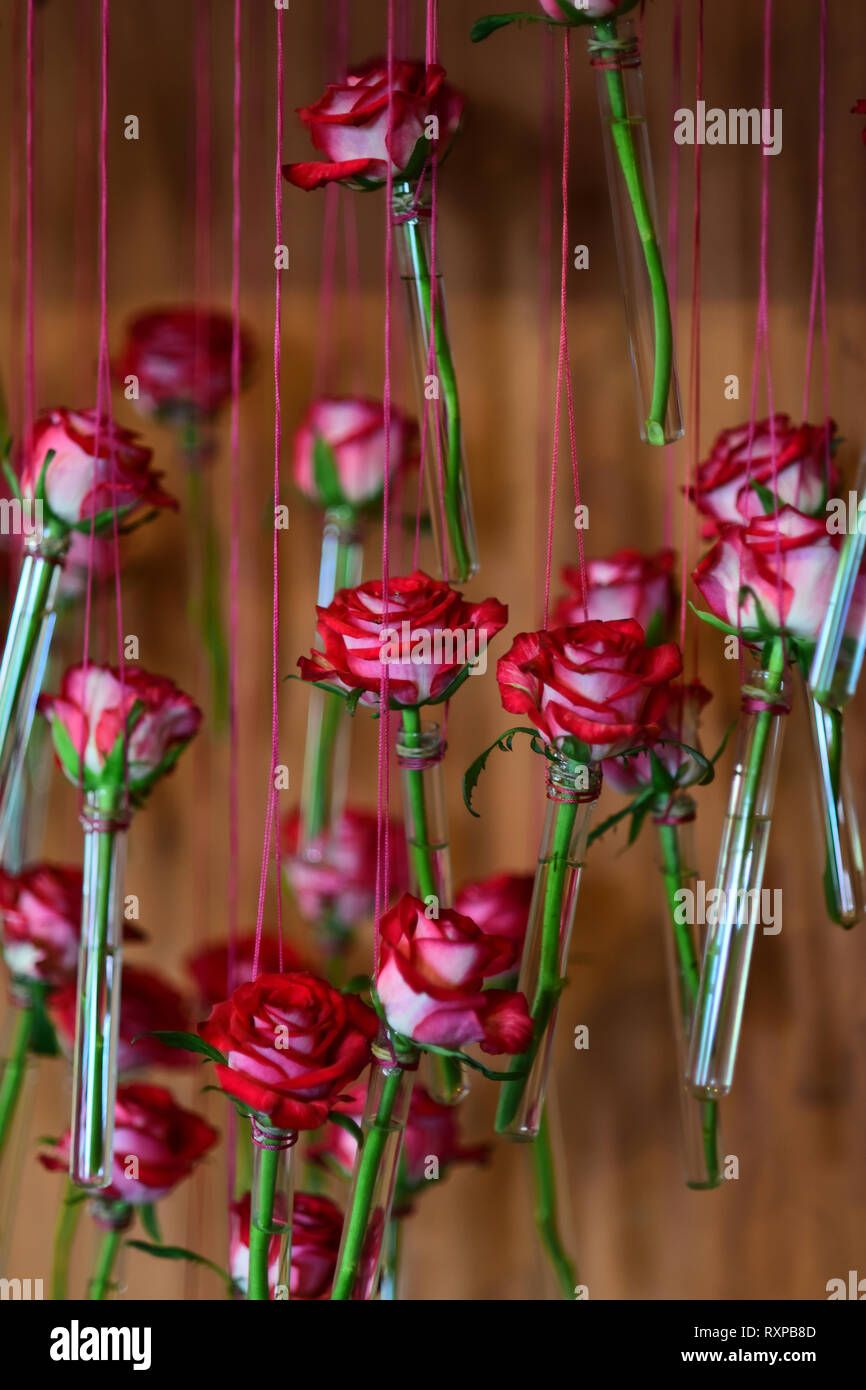 Decorated bottles with rose flowers hang on twine Stock Photo Alamy