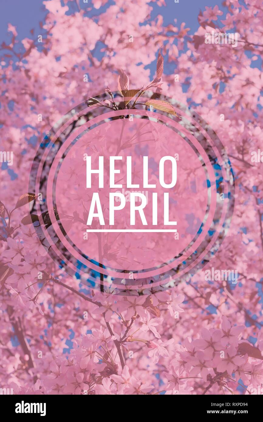 Banner Hello April Hi Spring Hello April Welcome Card We Are