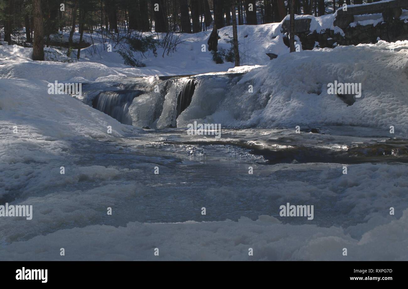 Vaughan Woods, Waterfalls, Hobbit Land, National Park, Hiking Trail