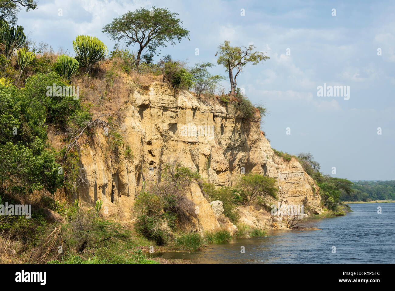 Vertical cliffs, home to bee-eater colony, on bank of Victoria Nile river in Murchison Falls National Park, Northern Uganda, East Africa Stock Photo