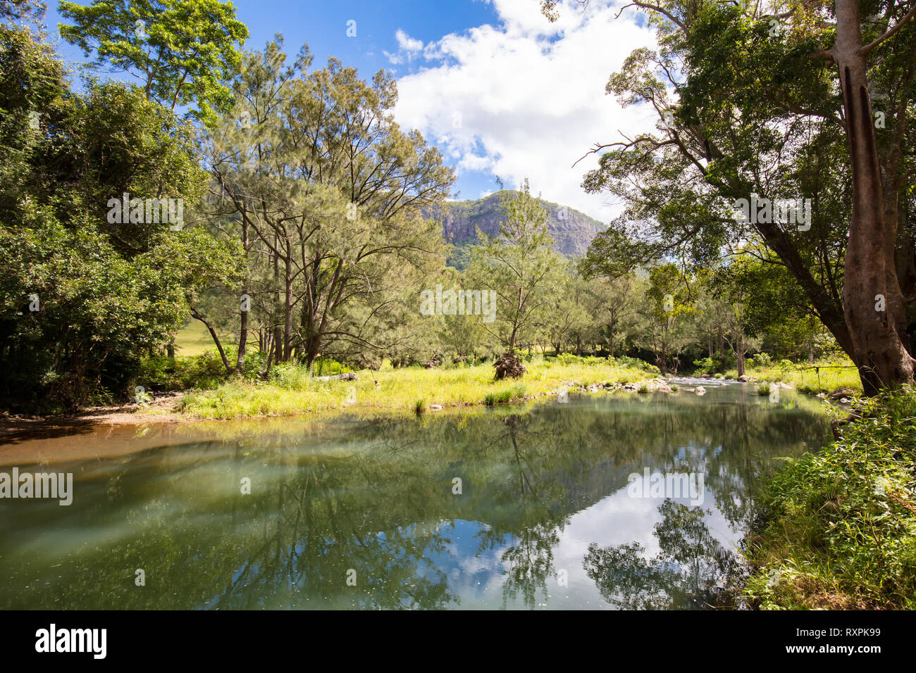 Forest Park Picnic Area QLD Stock Photo Alamy