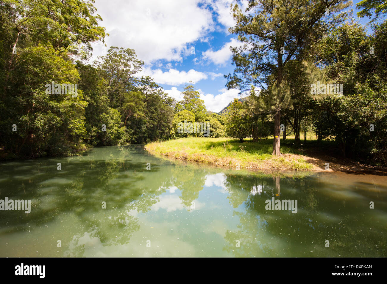 Forest Park Picnic Area QLD Stock Photo Alamy