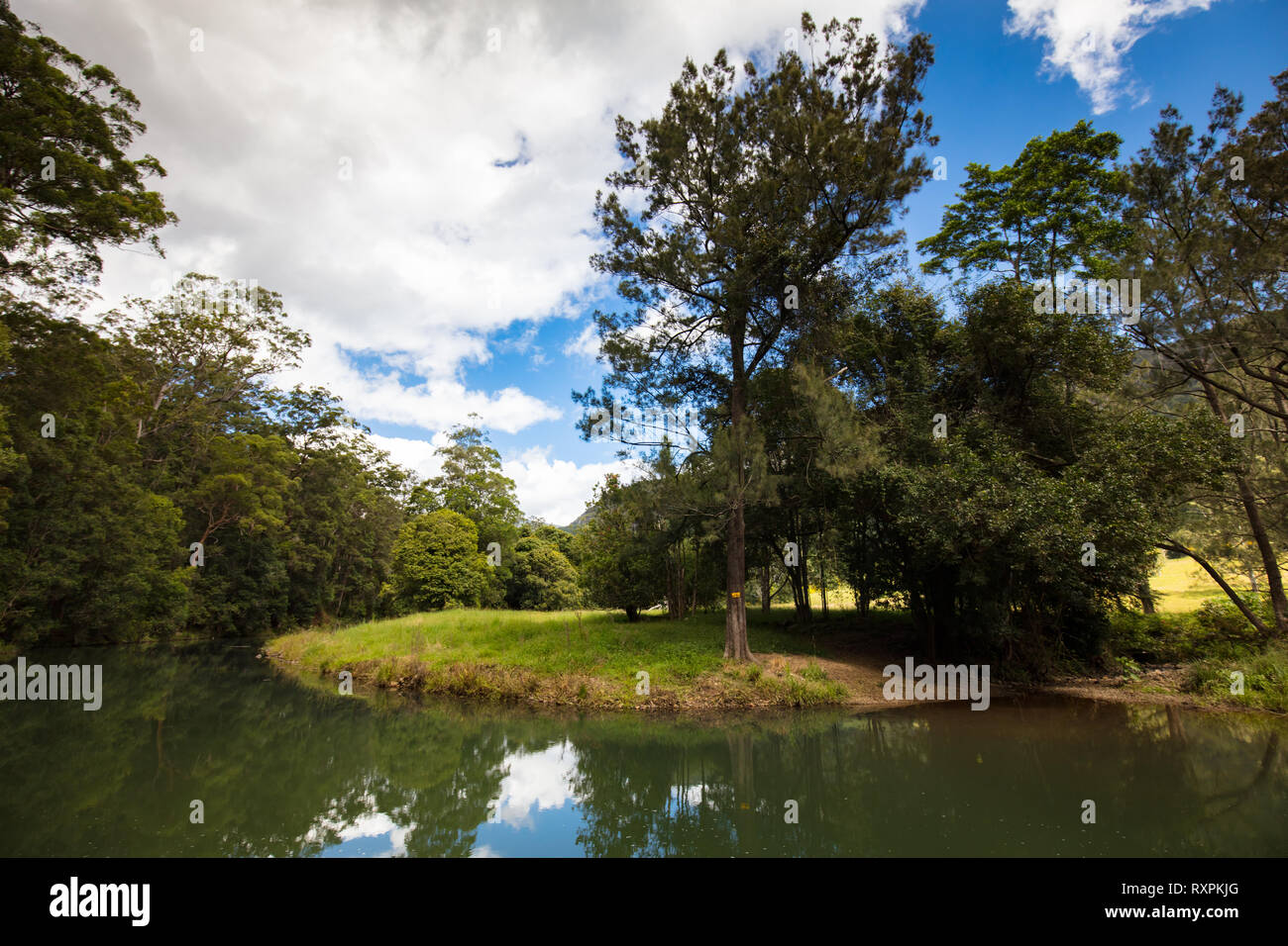 Forest Park Picnic Area QLD Stock Photo Alamy