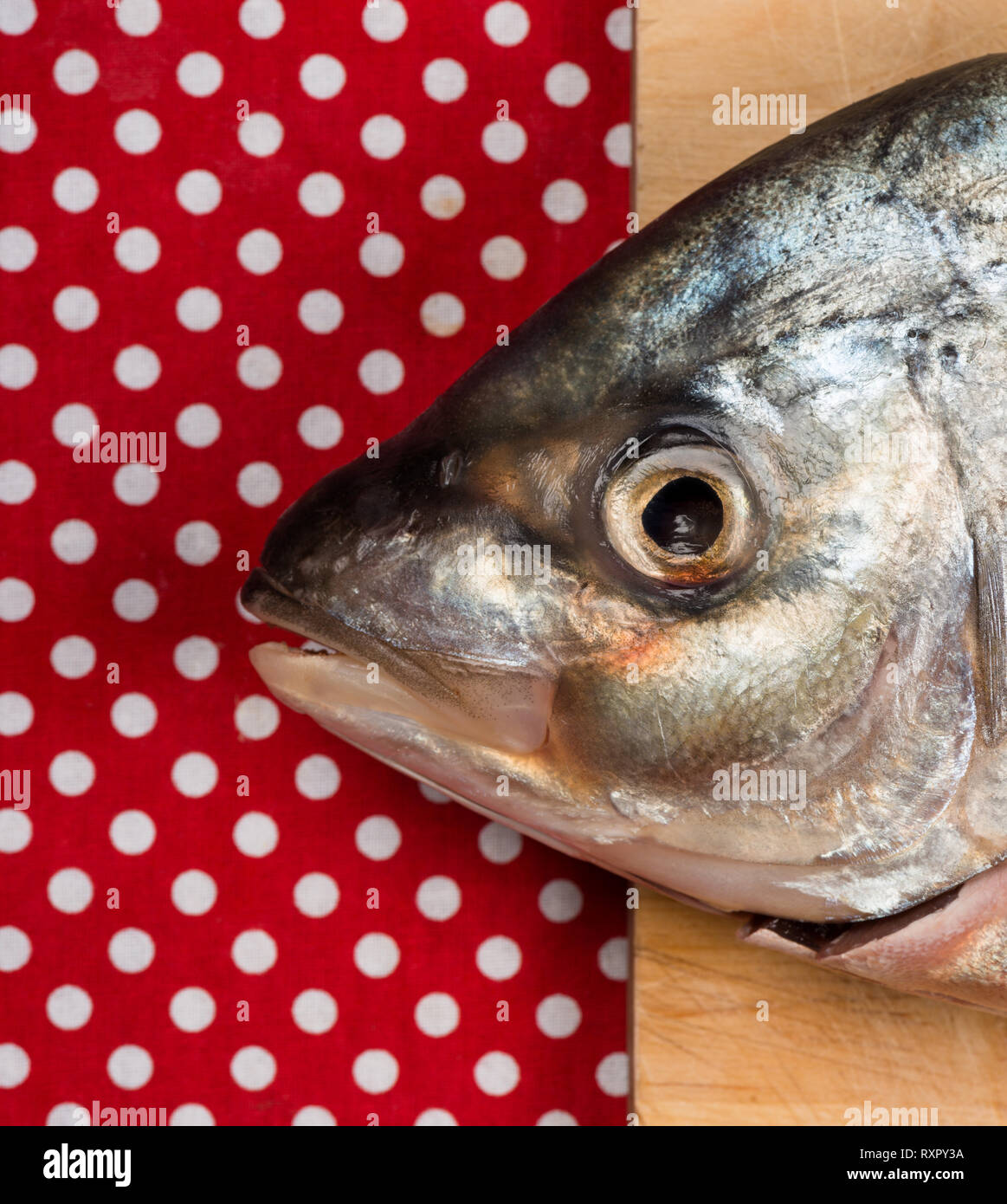 Free range fish hires stock photography and images Alamy