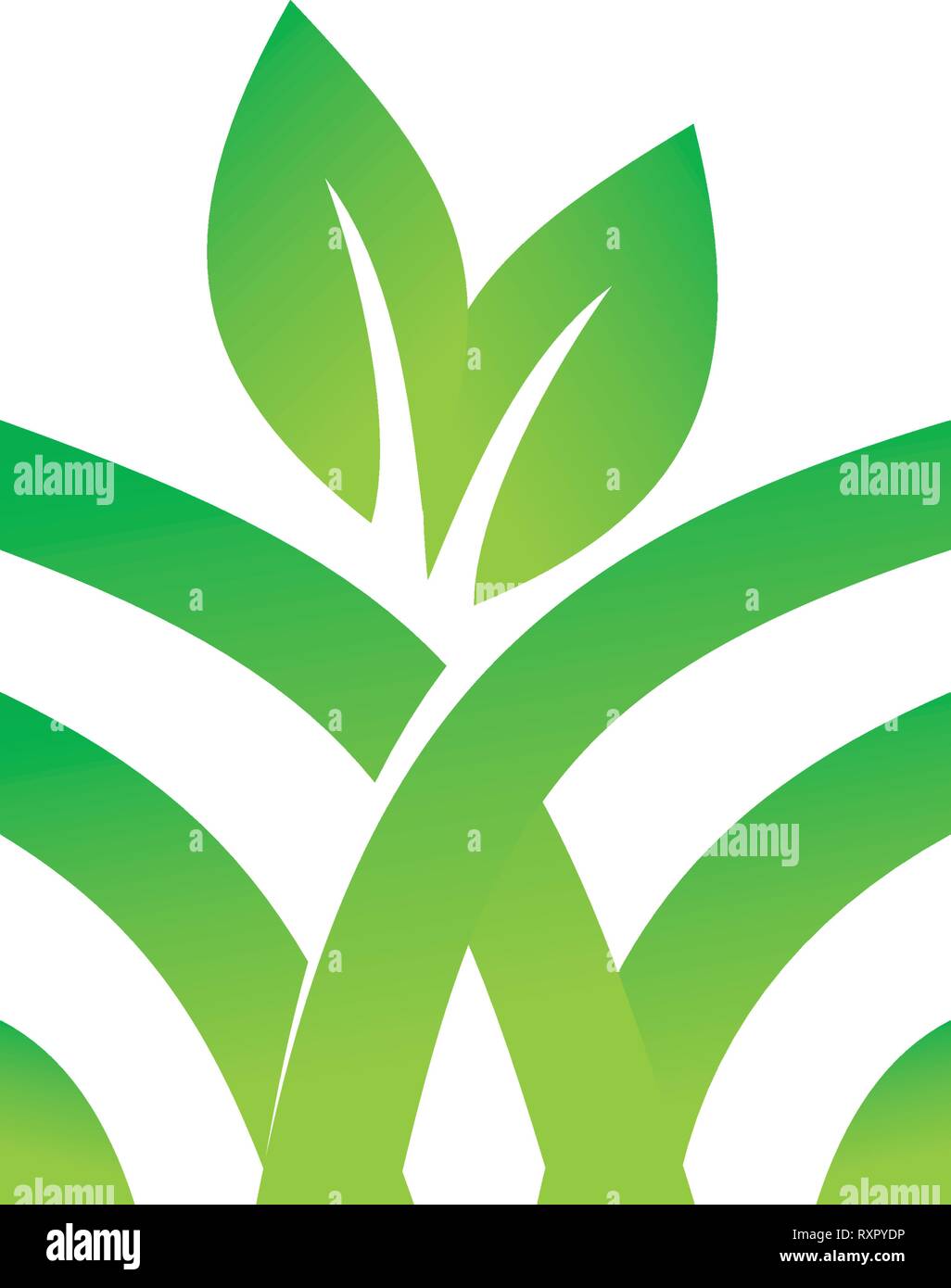 Leaf Logo Design Vector Template Set Stock Vector Image & Art - Alamy