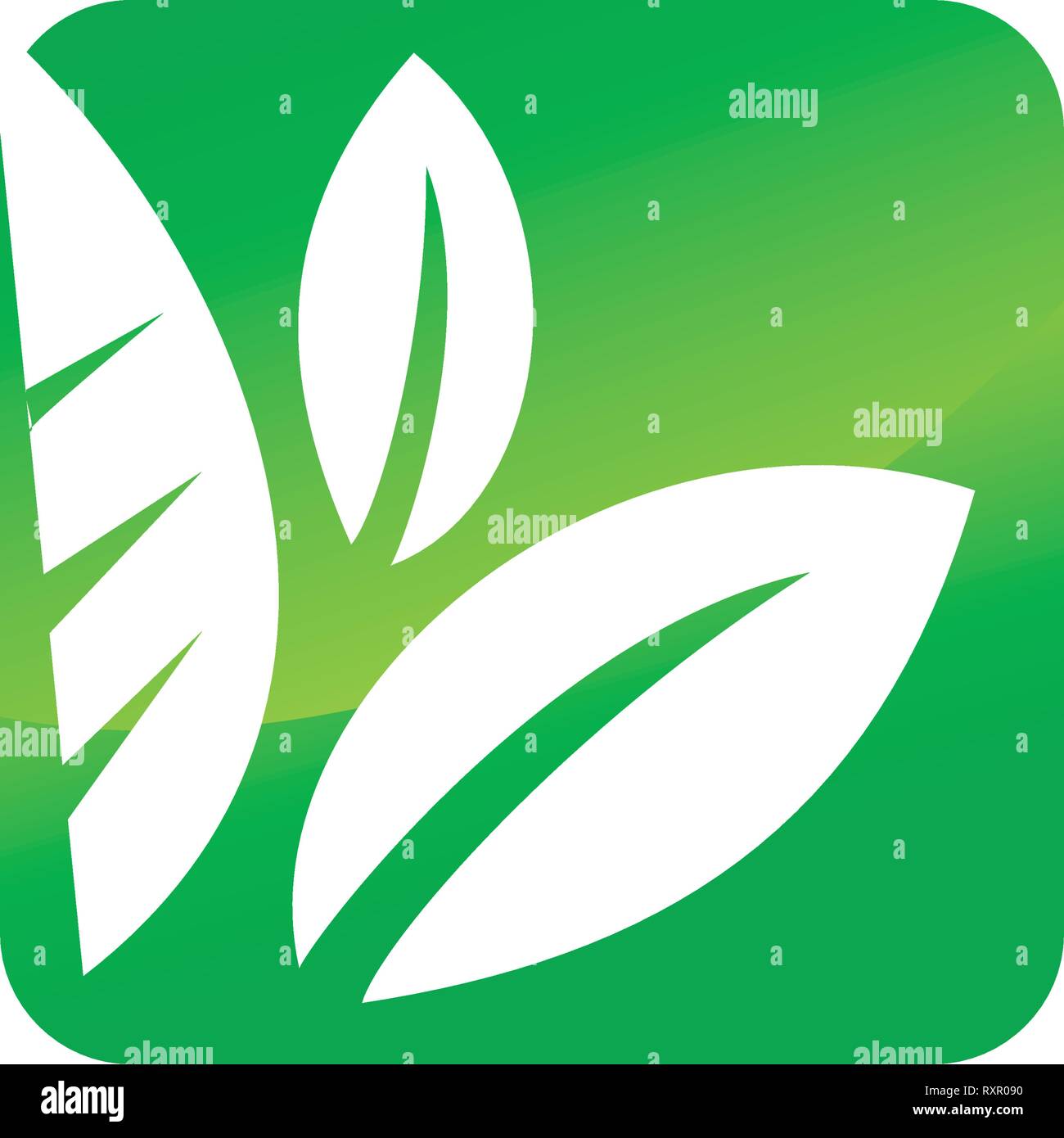 Leaf Logo Design Vector Template Set Stock Vector Image & Art - Alamy