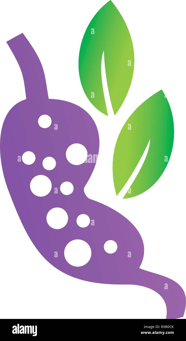 Leaf Logo Design Vector Template Set Stock Vector