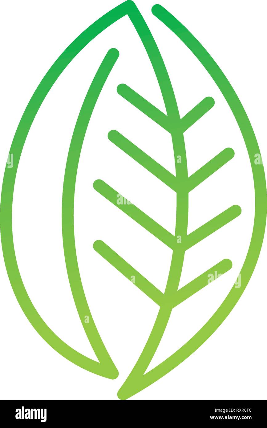 Leaf Logo Design Vector Template Set Stock Vector Image & Art - Alamy