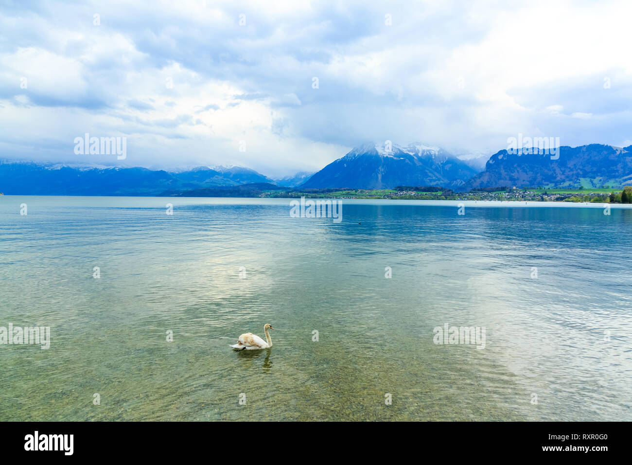 Lake Thun and Alps Mountains in the city of Thun, Switzerland Stock Photo