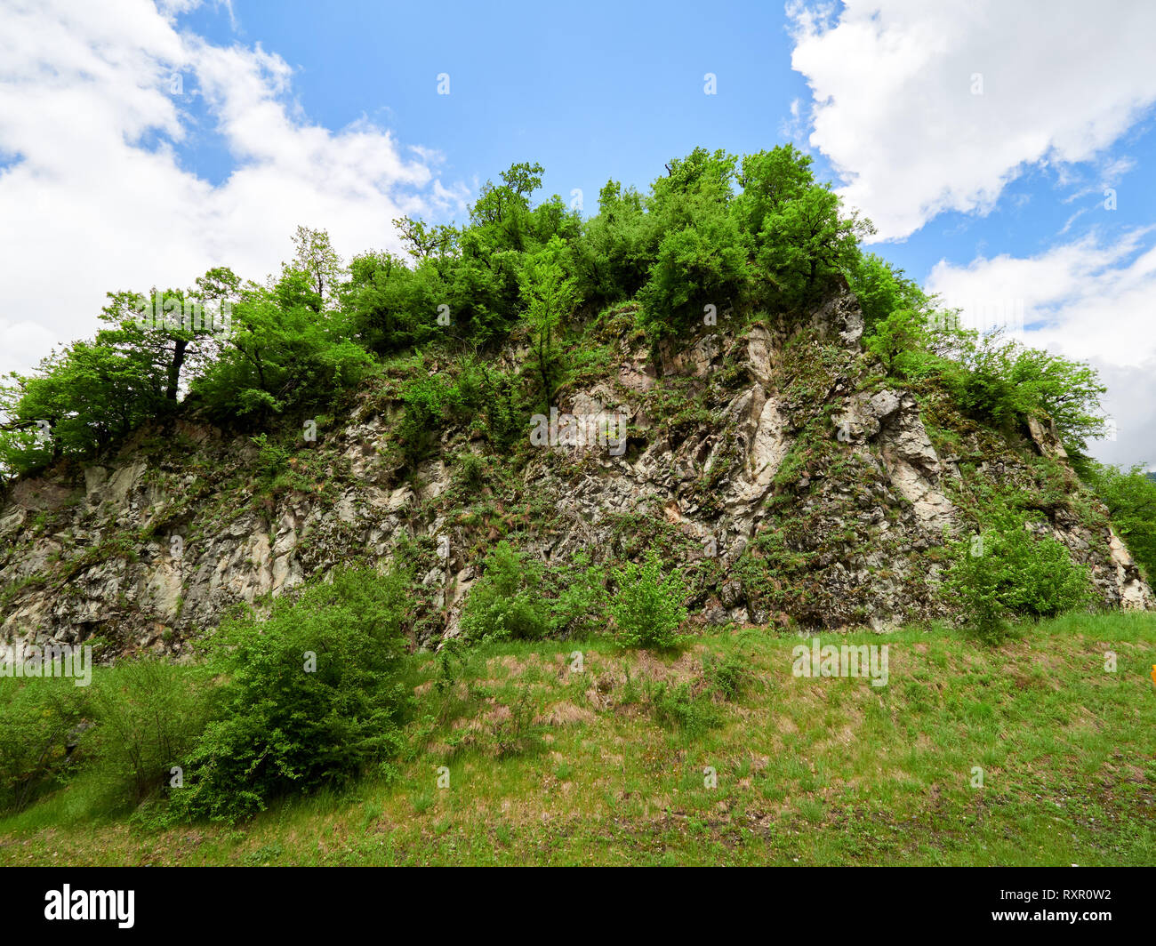 Tree Spring Rocks Stone rock and green trees on it. Colors of spring Stock Photo - Alamy
