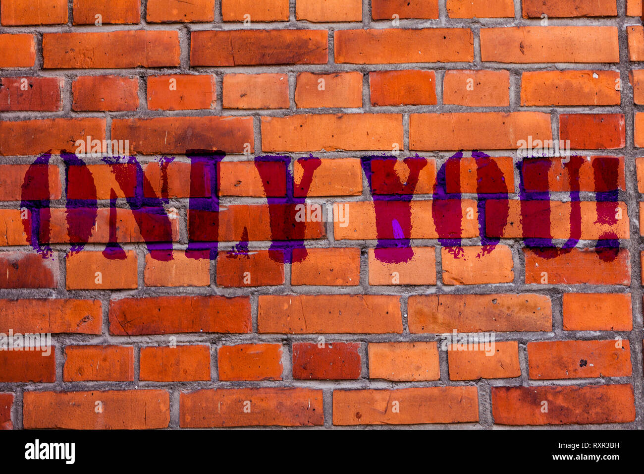 Text sign showing Only You. Business photo text The chosen one No other  wanted or needed Roanalysistic expression Brick Wall art like Graffiti  motivat Stock Photo - Alamy
