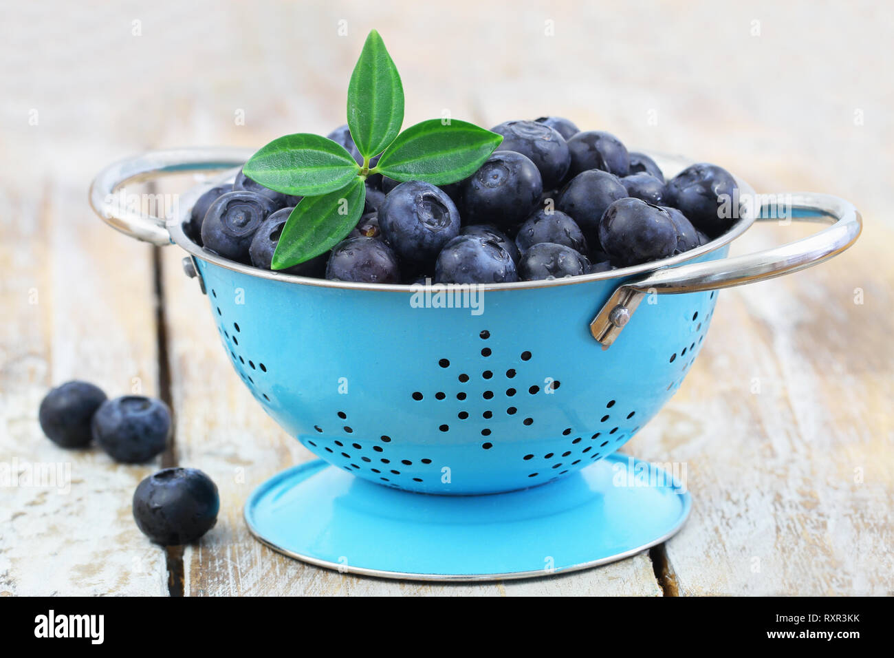Freshly washed blueberries in blue aluminum colander on rustic wooden surface Stock Photo