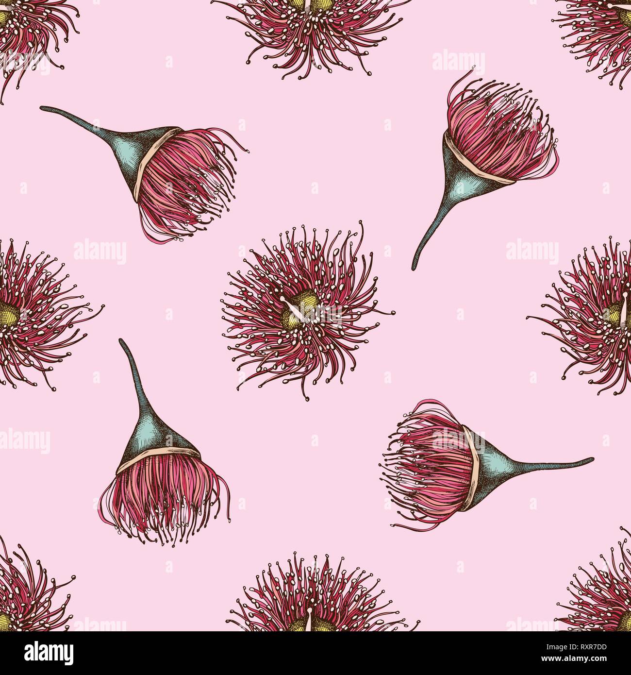Seamless pattern with hand drawn colored eucalyptus flower stock illustration Stock Vector