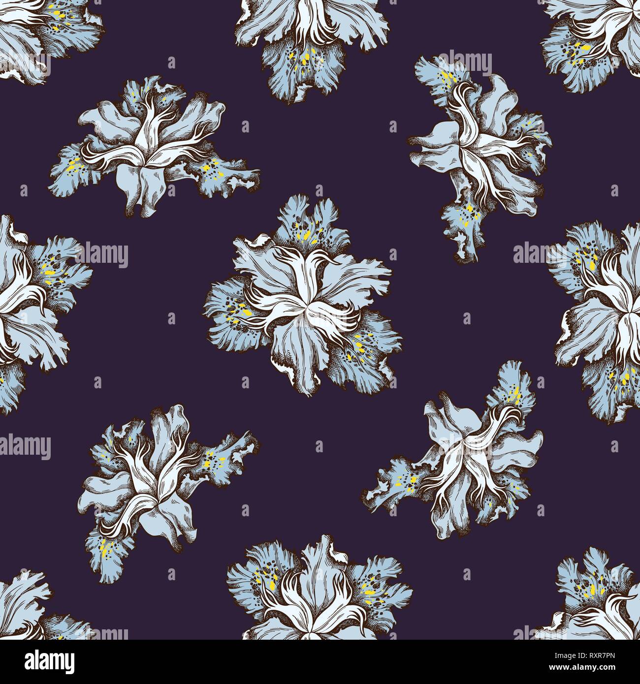 Seamless pattern with hand drawn colored iris japonica Stock Vector