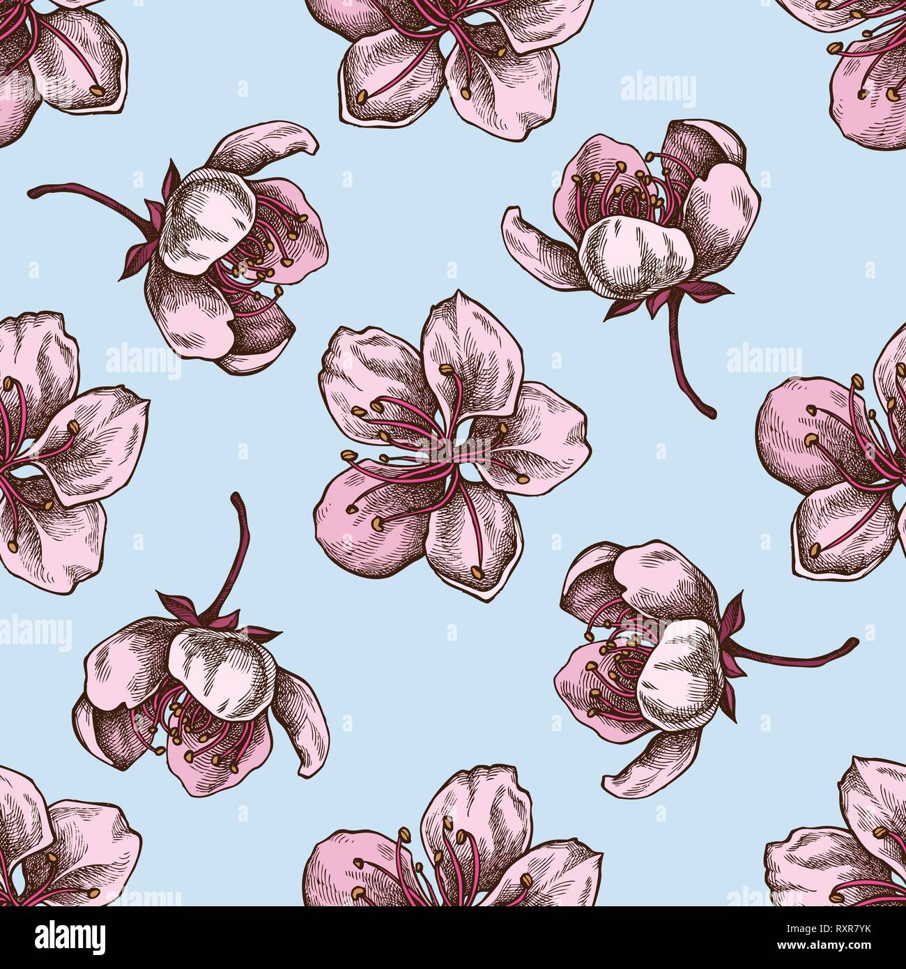 Seamless pattern with hand drawn colored sakura Stock Vector