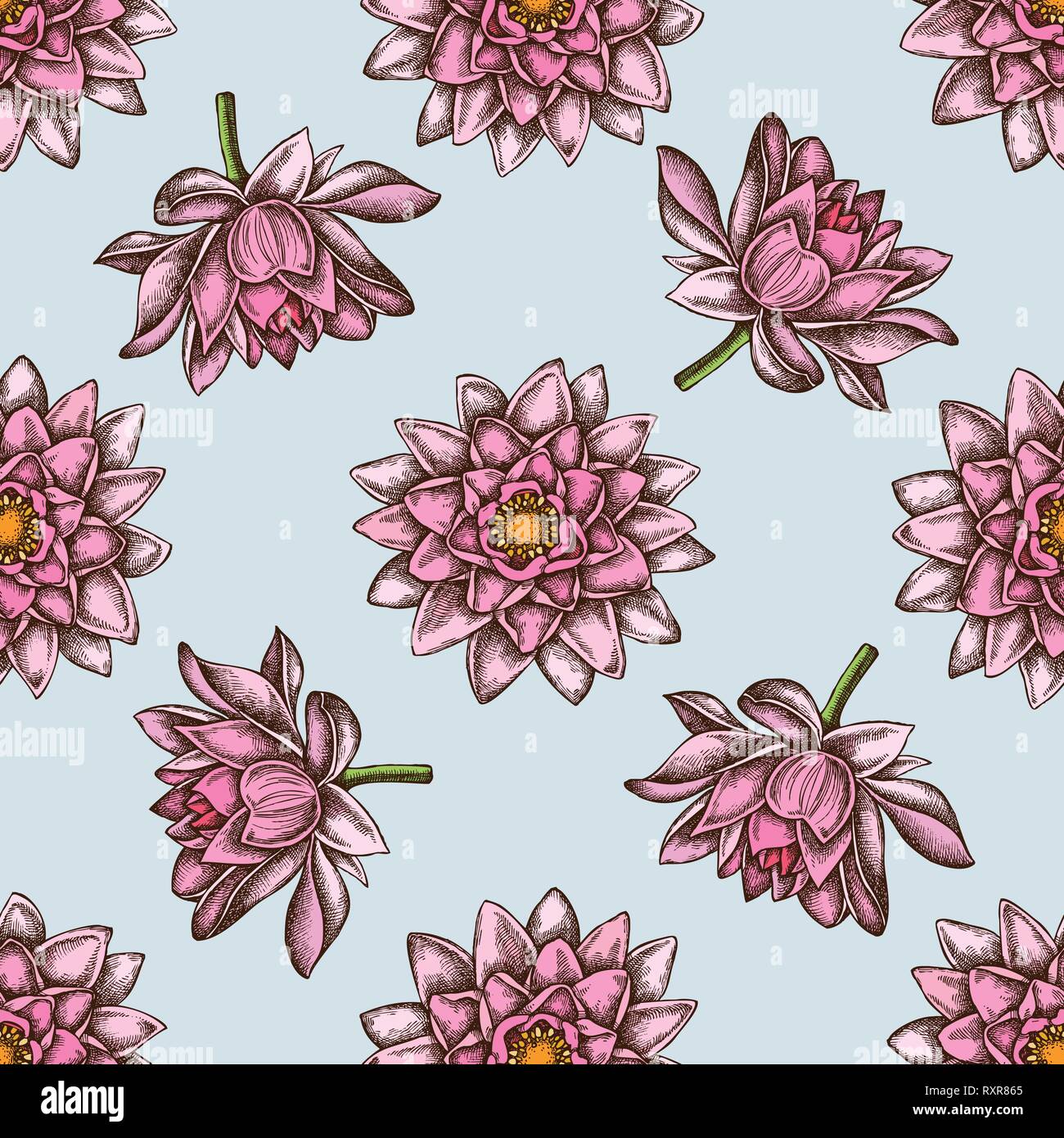 Seamless pattern with hand drawn colored lotus Stock Vector