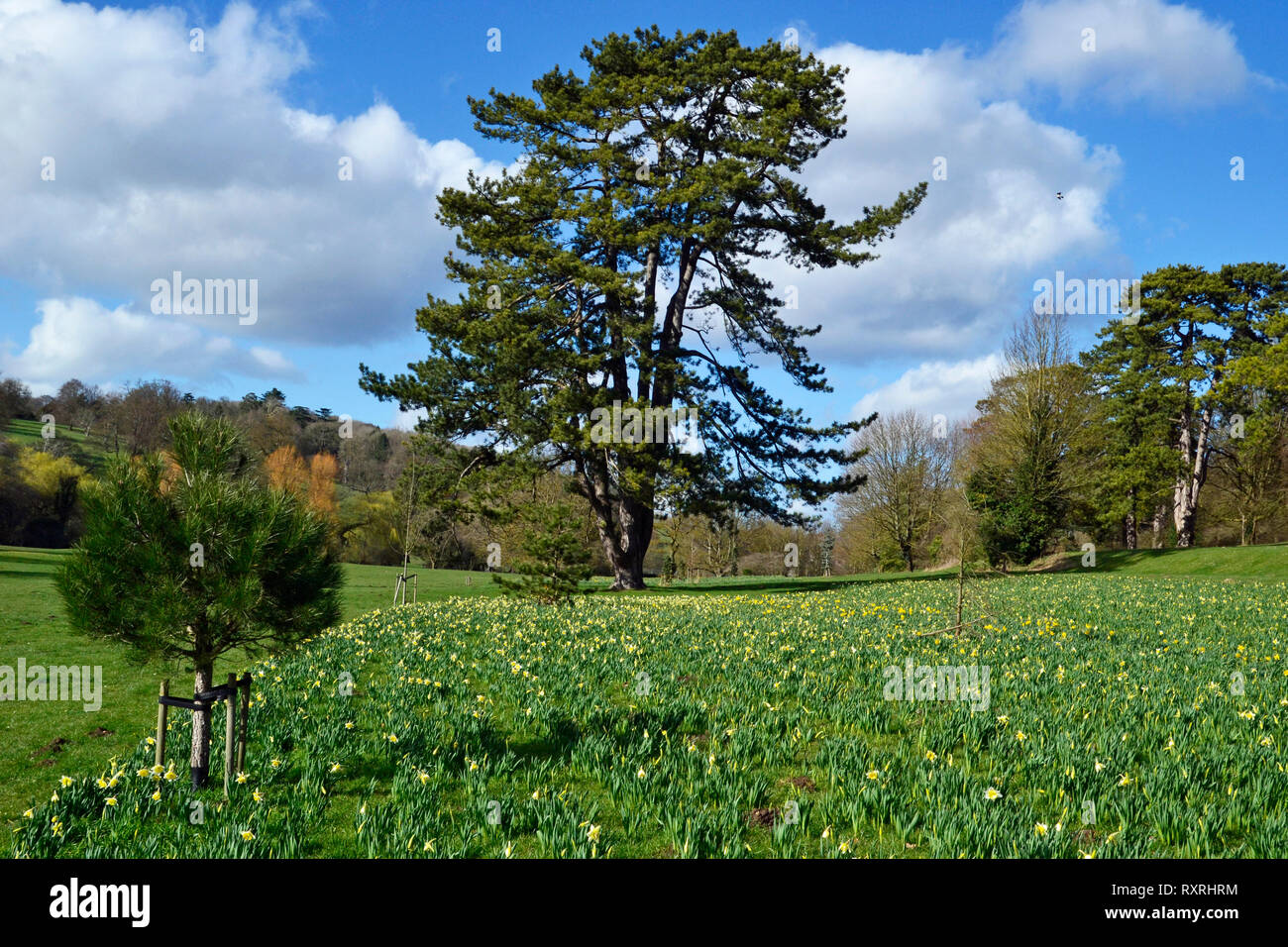Hughenden valley high buckinghamshire hires stock photography
