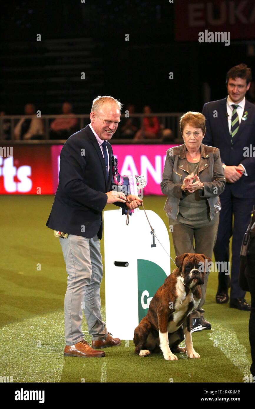 Crufts hound cheap winner 2019