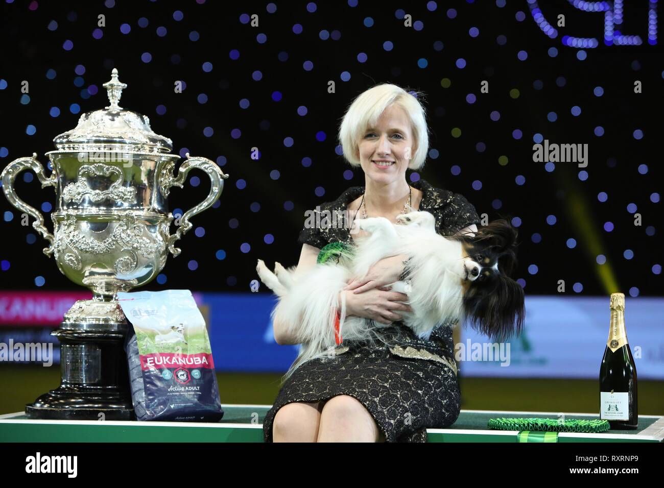Crufts best in show champion hi res stock photography and images