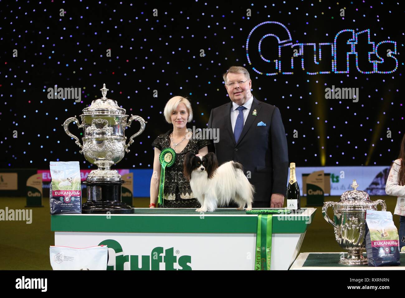 Birmingham, UK. 10th Mar, 2019. Best in Show winner & Champion of Crufts 2019 CH Planet Waves Forever Young Daydream Believers, a Papillon better known as Dylan the Villain from Belgium, owned by Kathleen Roosens. Credit: ️Jon Freeman/Alamy Live News Stock Photo