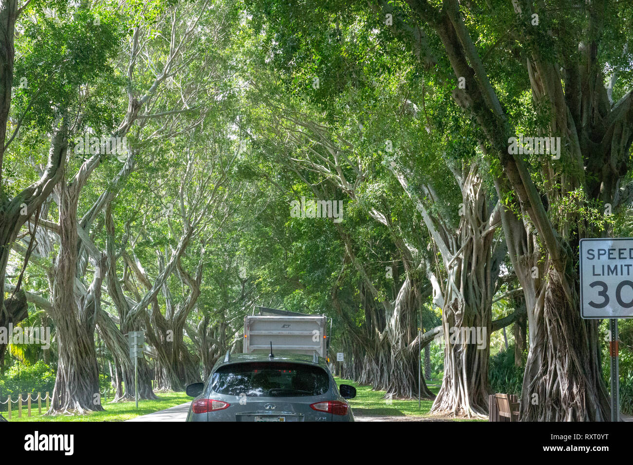 Hobe sound beach hires stock photography and images Alamy